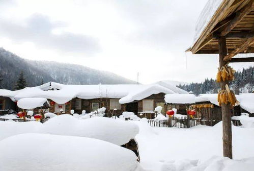 北國之冬 一場冰雪童話的親子之旅——哈爾濱·雪鄉·亞布力全攻略